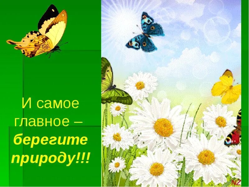 Леса и луга нашей родины презентация. Леса и Луга нашей Родины старшая группа. Леса и Луга нашей Родины.окружающий мир старшая группа. Леса и Луга нашей Родины занятие в старшей группе. Луг и лес старшая группа.