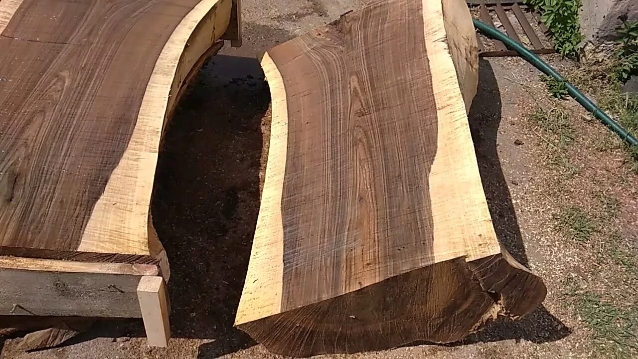 грецкий орех диаметр ствола. структура древесины грецкого ореха. грецкий орех структура дерева. слэб тополя. древесина орех срез.