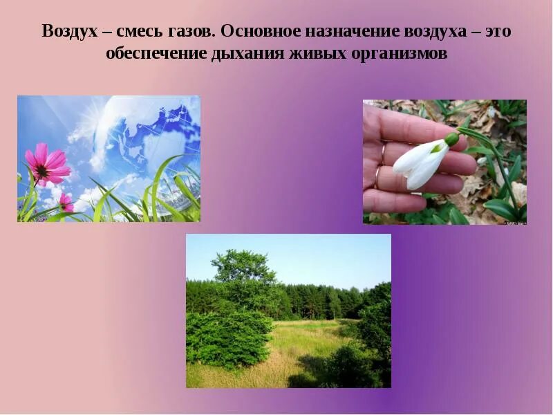 Воздух это газ. Воздух определение. воздушная смесь. живые организмы газообразное. газообразный воздух.