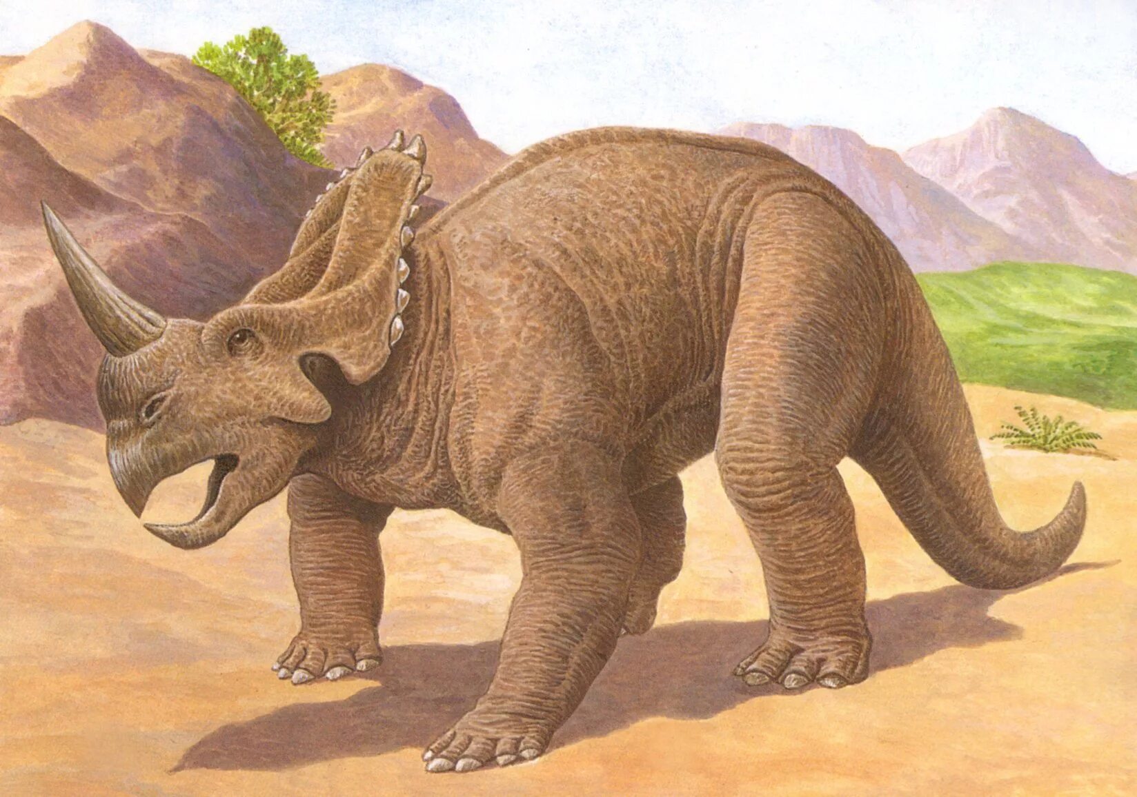 Центрозавр. Моноклоний динозавр. Зуницератопс фигурка. Центрозавр фото. Центрозавр динозавр.