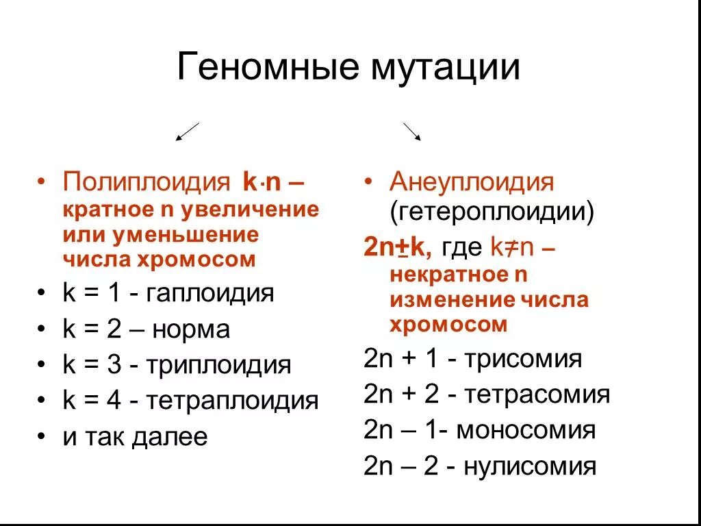 Изменение числа хромосом кратное гаплоидному набору. Геномные полиплоидия анеуплоидия. Геномные изменения: полиплоидия, анеуплоидия.. Геномные мутации полиплоидия. Геномные мутации анеуплоидия полиплоидия гаплоидия.