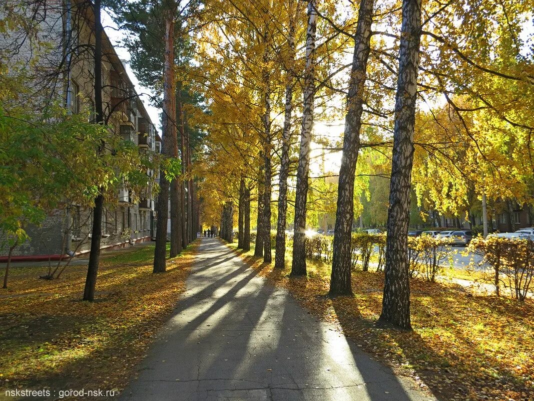 улицы академгородка. академгородок новосибирск морской проспект. улицы академгородка. университетский проспект (новосибирск). академгородок новосибирск.