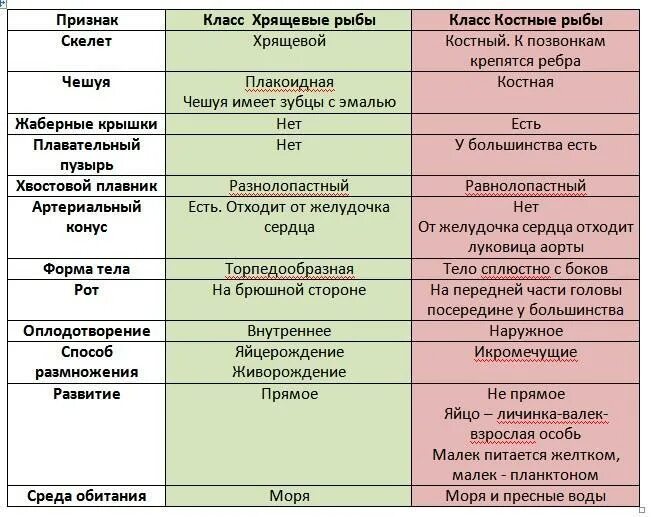 Какому классу относятся представленные в таблице рыбы. Сравнительная характеристика хрящевых рыб таблица 7 класс. сравнительная характеристика костных и хрящевых рыб 7 класс. сравнительная характеристика хрящевых и костных рыб таблица. биология 7 класс характеристика класса хрящевые рыбы таблица.