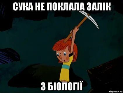 Сука это не то