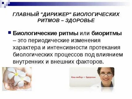 Влияние биологических ритмов