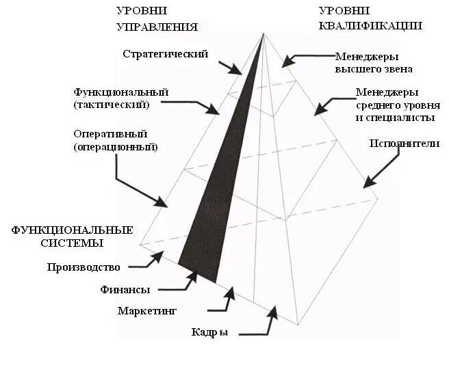 Тип управления уровень 3. Классификация ис по уровням управления. классификация ис по функциональному признаку и уровням управления. типы информационных систем по уровню управления. классификация информационных систем по уровням управления выделяет:.