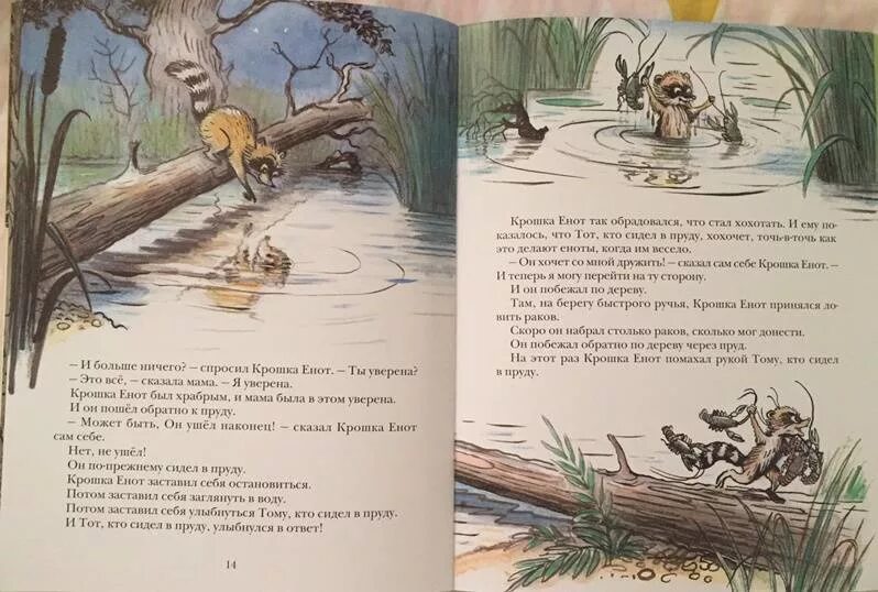 Сказка Лилиан муур «крошка енот и тот, кто сидит в пруду». Крошка енот 1974. Книга муур крошка енот иллюстрации Сутеева. Иллюстрации к сказке муур крошка енот и тот кто сидит в пруду.