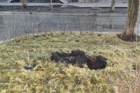 Кража ростов