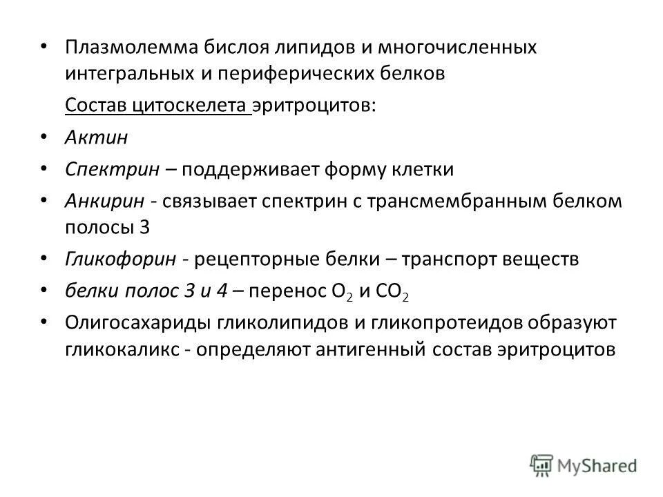 Плазмолемма эритроцита. Белки плазмолеммы эритроцита. Строение плазмолеммы эритроцита. Белок гликофорин плазмолеммы эритроцита выполняет. Особенности строения плазмолеммы эритроцита.