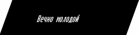 Вечно начинающие