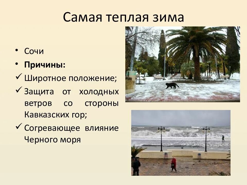 В каких городах теплые зимы. В каких городах теплые зимы