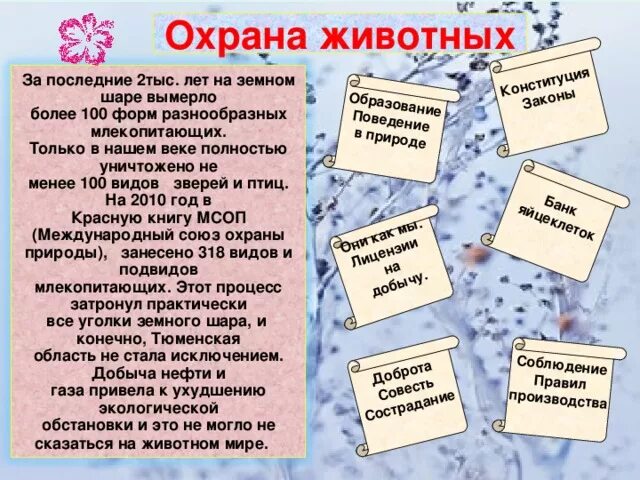 Проект по окружающему миру по теме "Берегите животных" - начальные классы, презе