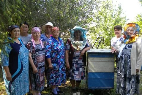 Самарская область камышлинский