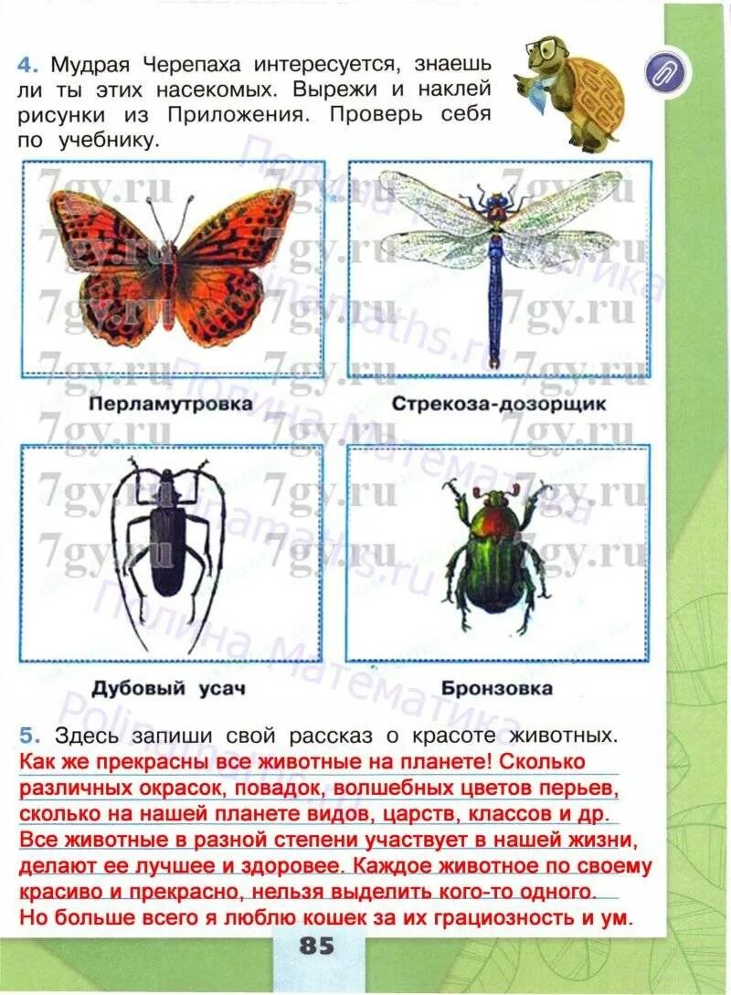 Рабочая тетрадь по окружающему миру 2 класс школа России. Впереди лето окружающий мир 2 класс рабочая тетрадь. Окружающий мир 2 класс рабочая тетрадь 2 часть насекомые. Домашнее задание по окружающему миру впереди лето.