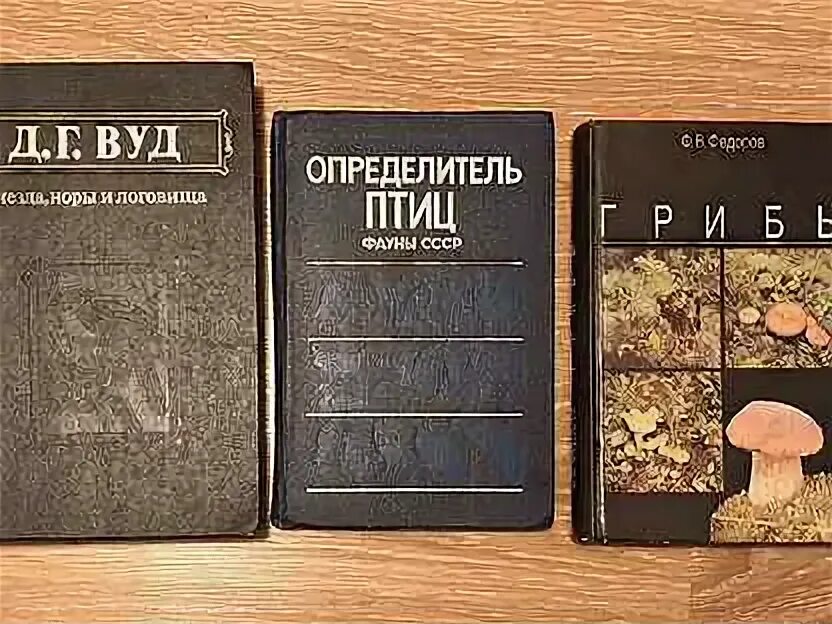 Сигналы грибов книга.