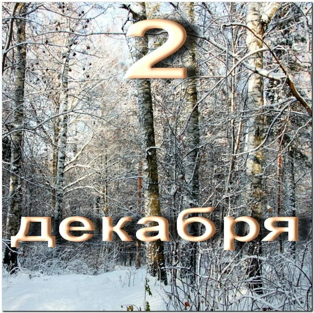 Авдей радетель 2 декабря. Два в декабре. Два в декабре. Два в декабре. Два в декабре.