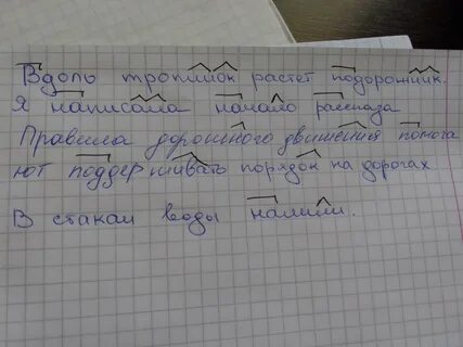 Выделить приставку в слове подорожник