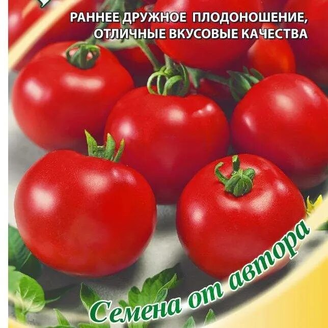 Томат гаврош. Гаврош сорт томатов. фараон помидоры. помидоры сорт гаврош. помидоры гаврош описание сорта.