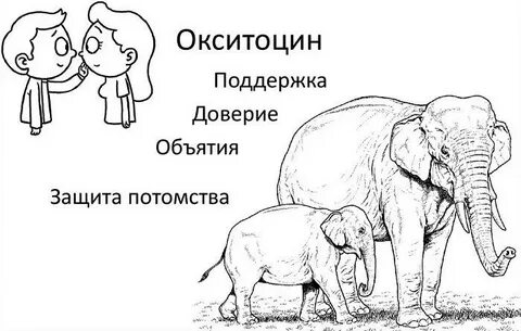 Гормон объятий