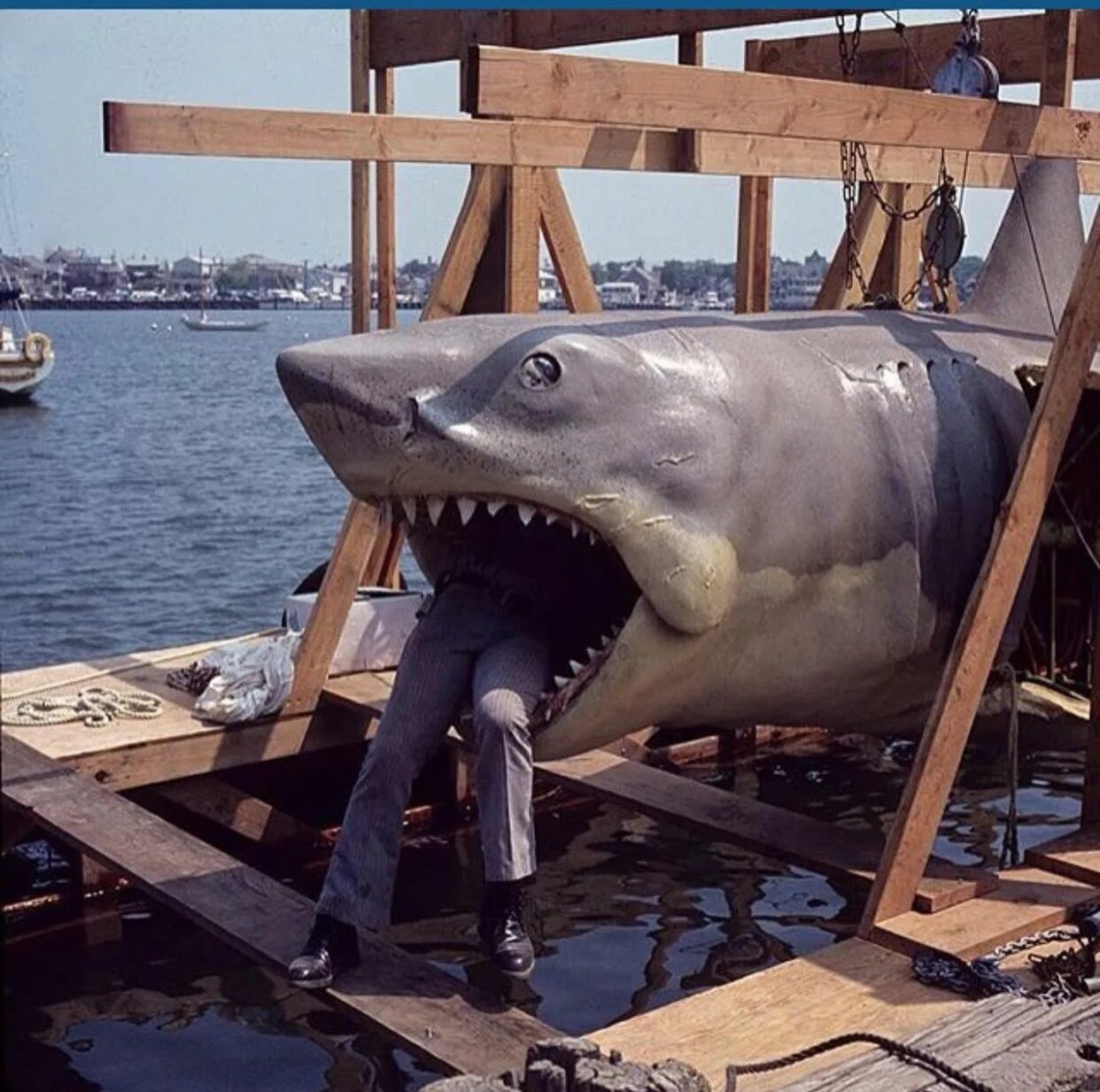Снял триллер челюсти. Акула АНИМАТРОНИК челюсти 1975. Челюсти АНИМАТРОНИК акула.