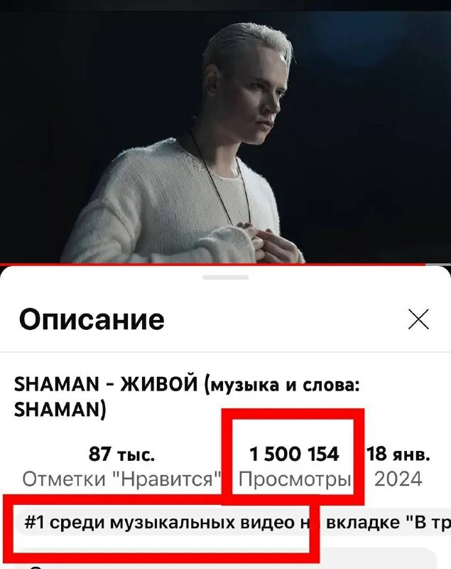 Шаман живой навальный