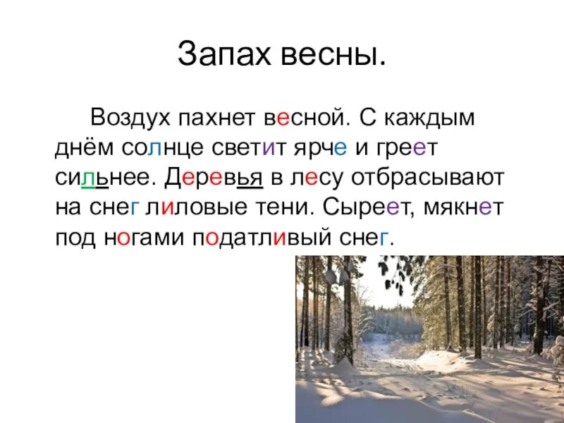 Март в лесу текст. План изложения март в лесу. Текст март в лесу. Весенний лес описание. Март текст.