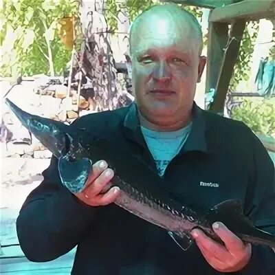 Решетников златоуст. Решетников златоуст биография. Решетников златоуст биография. Решетников златоуст биография. Решетников пермь губернатор.