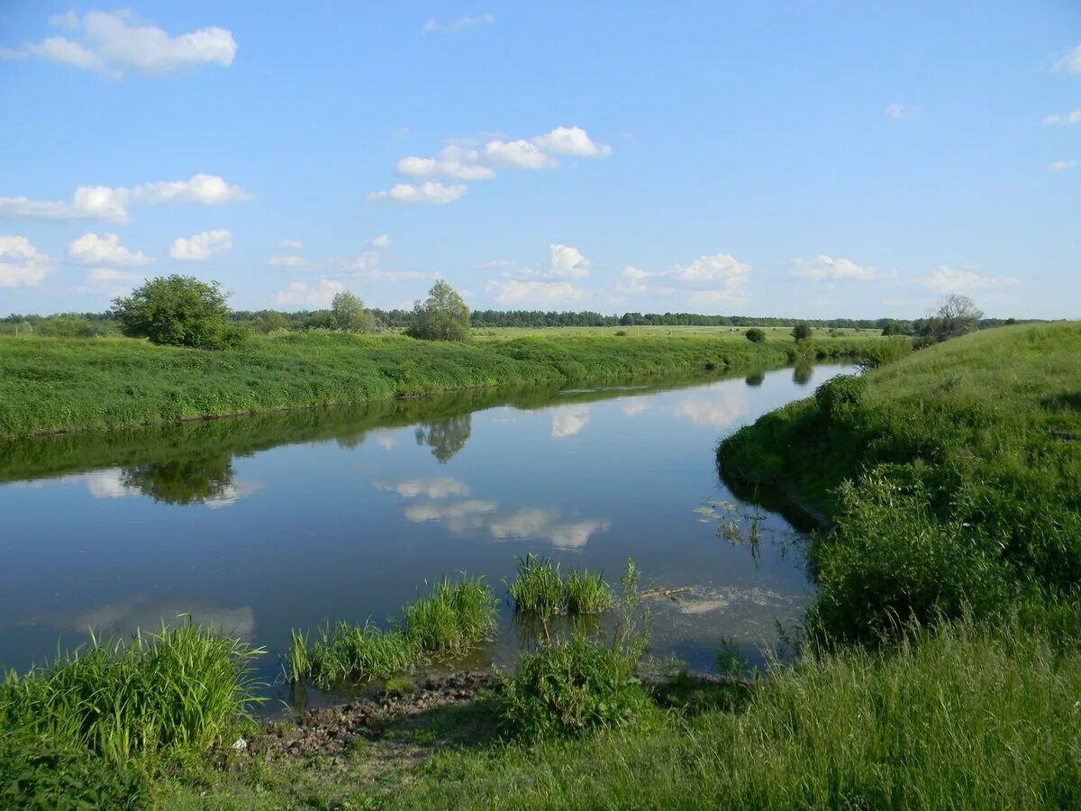 Поселок река река живут. Река Обва Пермский край. Река Вижаиха Пермский край. Река Миус Таганрог. Русло реки Обва Ильинский.