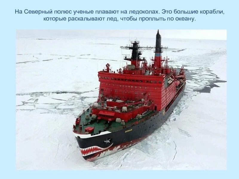 Как называется 1 в мире ледокол. Ямал атомный ледокол. ямал корабль ледокол. росатомфлот ледокол ямал. атомоход ямал.