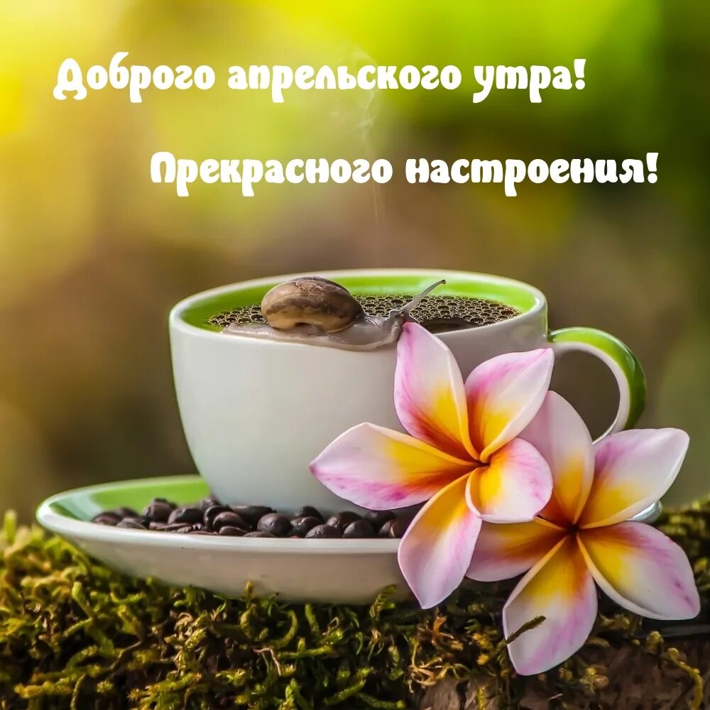 Доброго утра апреля и прекрасного настроения