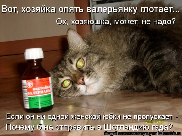 Почему пьют валерьянку
