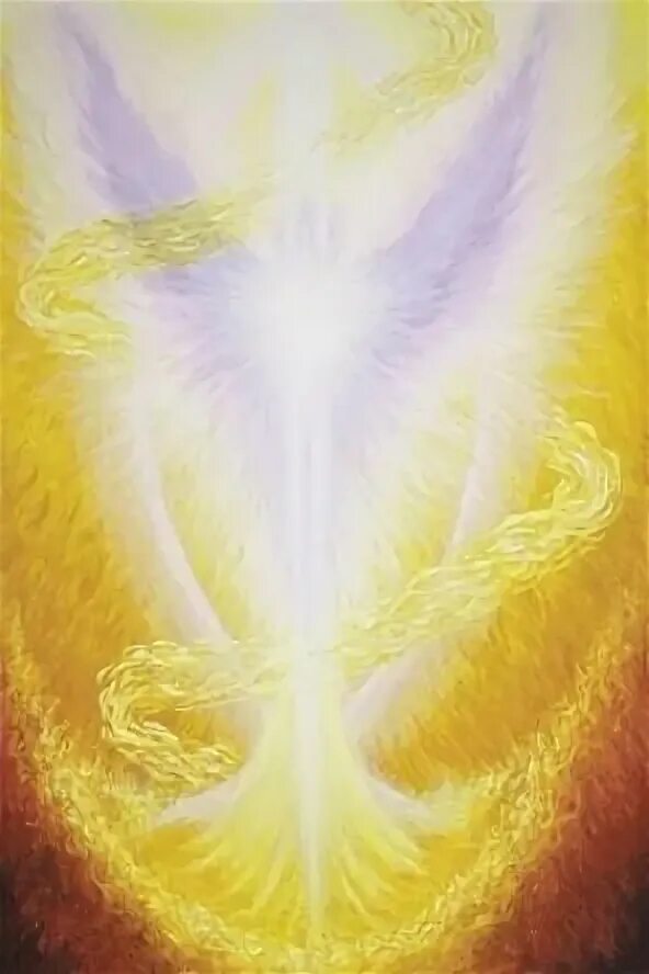 Holly angels. 12149 милл хилл. Holly angels. Holly angels. Holly angels.