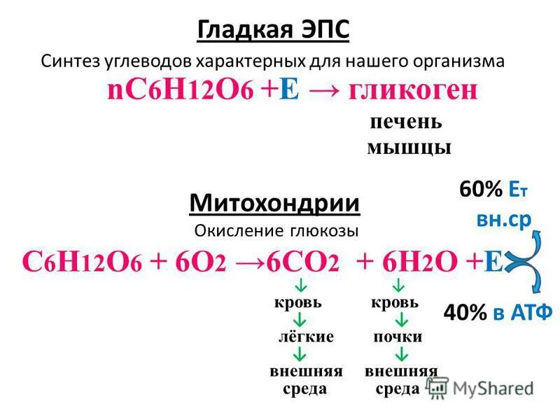 Синтез 6 букв