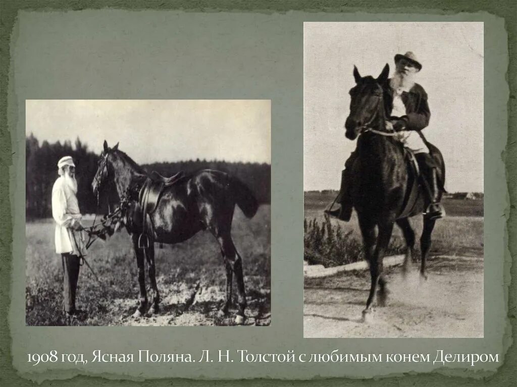 Как звали любимую лошадь
