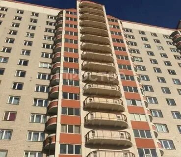 Кучино брагина 3