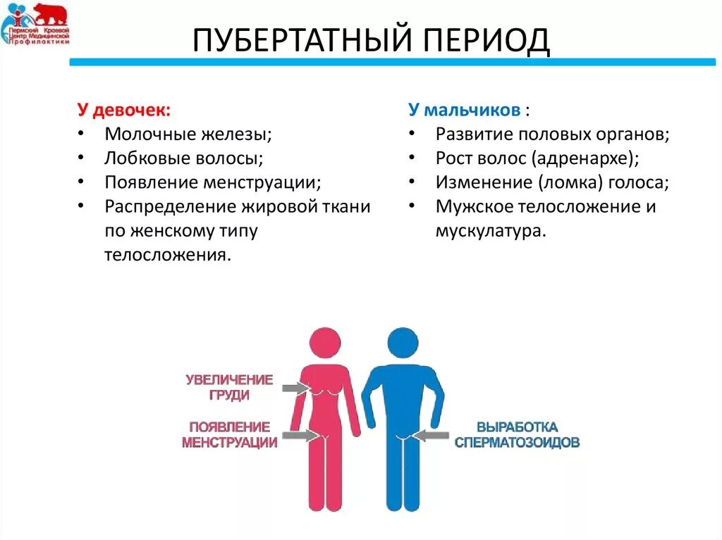 Во сколько лет у мальчиков переходный возраст. Половое созревание. Период полового созревания у мальчиков и девочек. Уроки полового созревания. Этапы полового развития девочки.