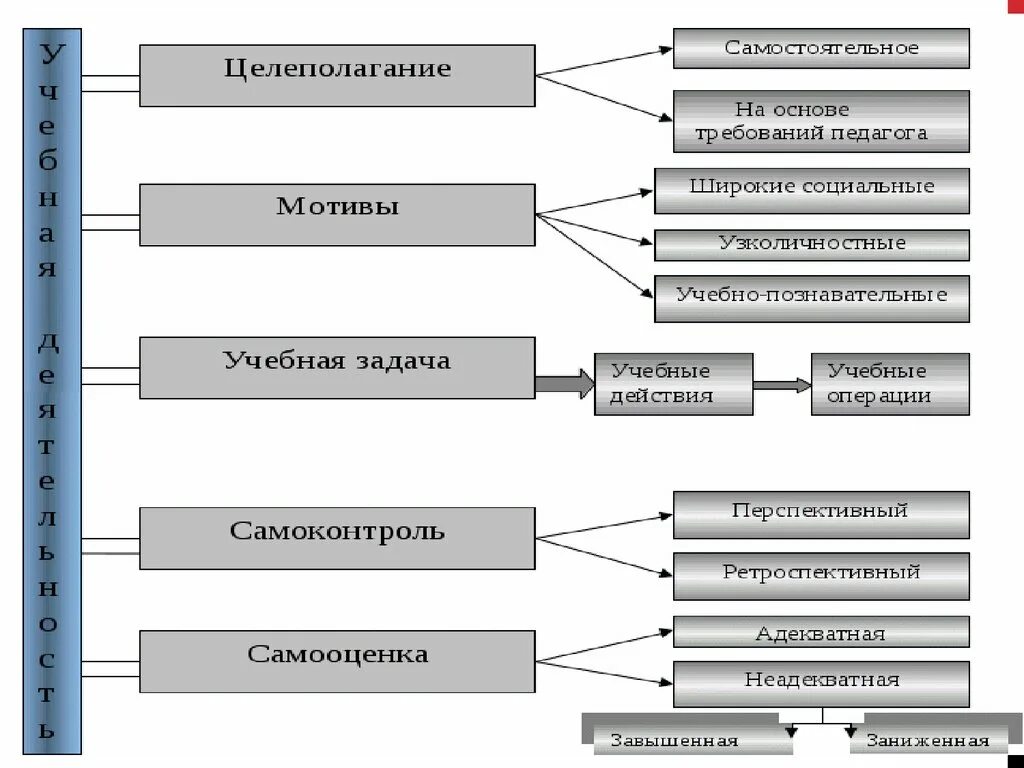 Структурные этапы деятельности. Структура учебной деятельности схема. Схема структурной учебной деятельности. Структура учебной деятельности младшего школьника. Структура учебной деятельности младшего школьника схема.