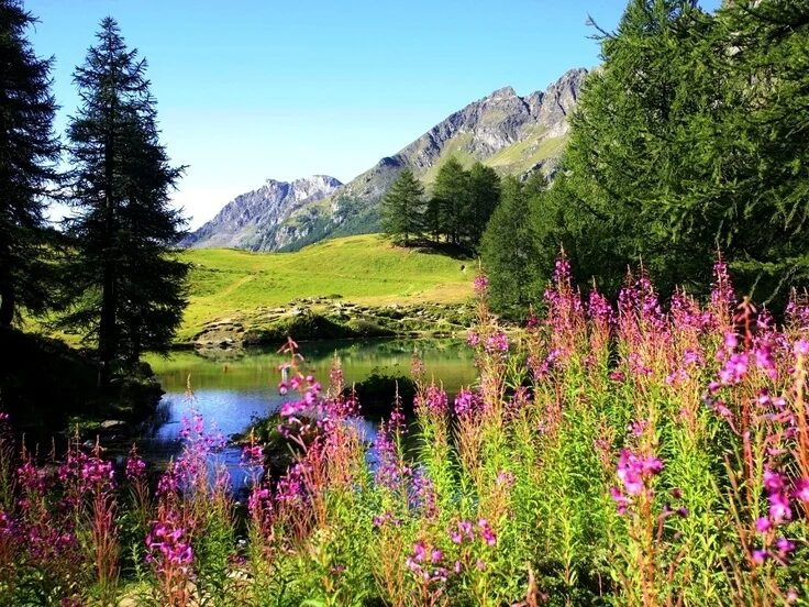 Spring scenes