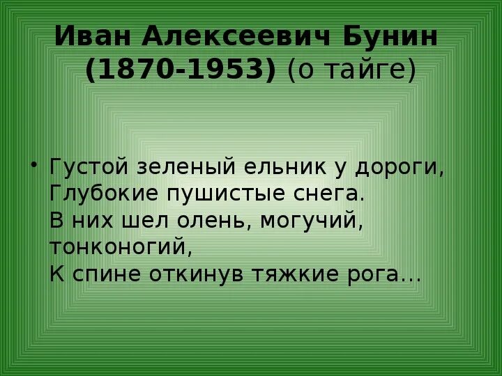 Бу8нин густой зелёный ельник. Бунин ельник. Бунин густой ельник.