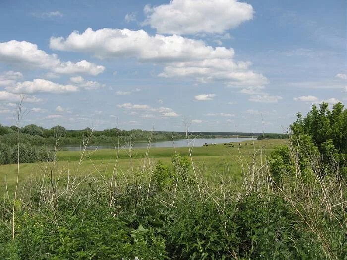 Ольгово Городище Рязань. Село Льгово Рязанской области. Село Льгово Ольгов монастырь. Льгово Рязанская область памятник.