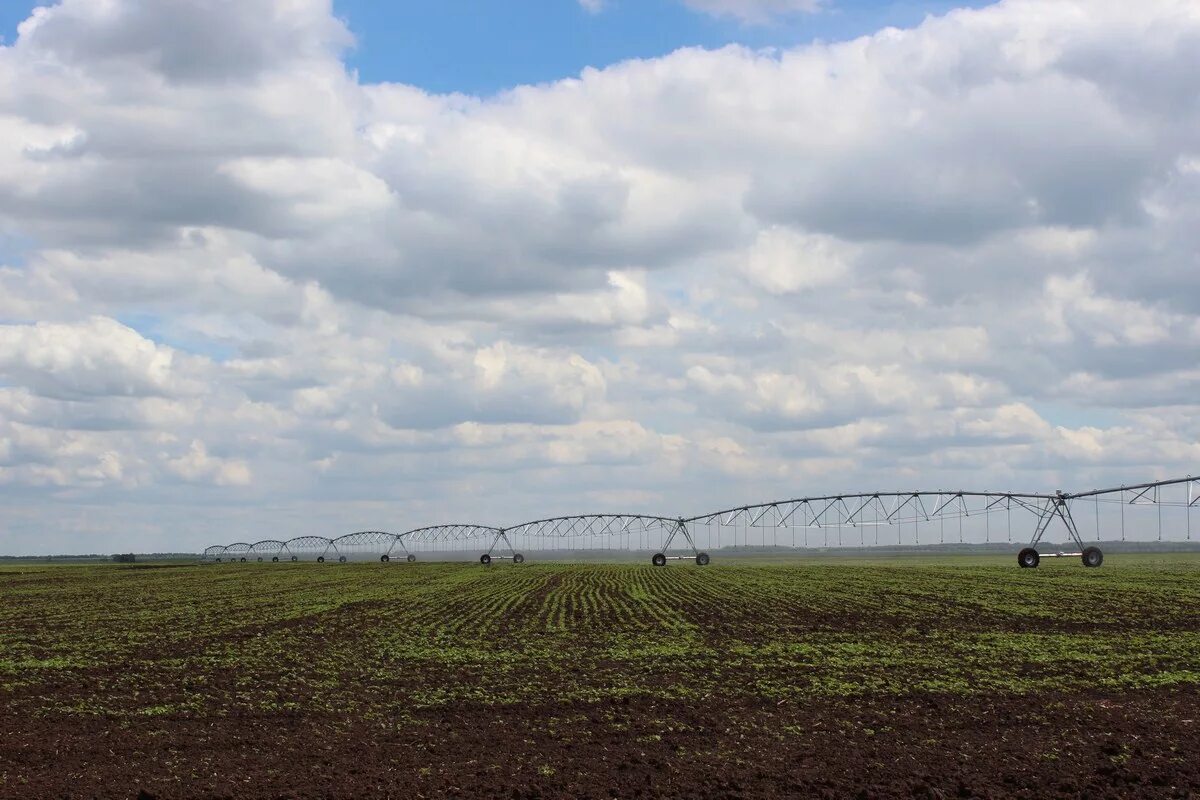 развитие мелиоративного комплекса. мелиорация ставропольский край. развитие мелиоративного комплекса. развитие мелиоративного комплекса. сельскохозяйственная мелиорация.