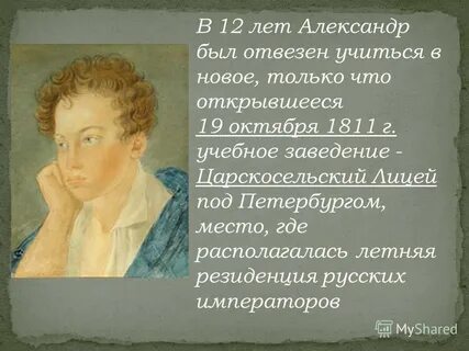 Кто занимался образованием пушкина