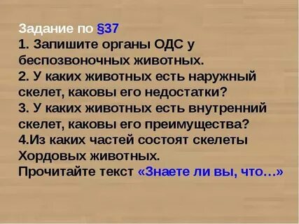 Каковы достоинства и недостатки наружного скелета