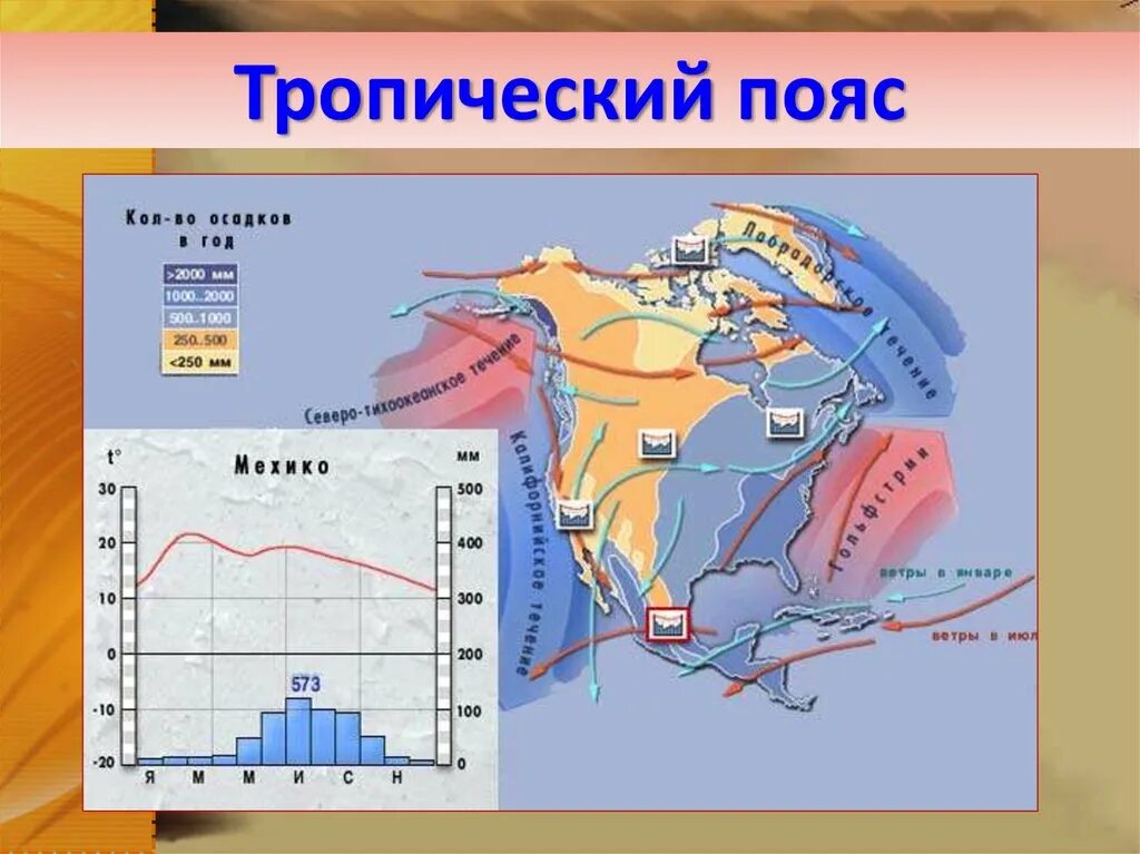 Тропический пояс. Расположение тропического пояса. Криптограмма тропического пояса. Тропический пояс водные объекты.