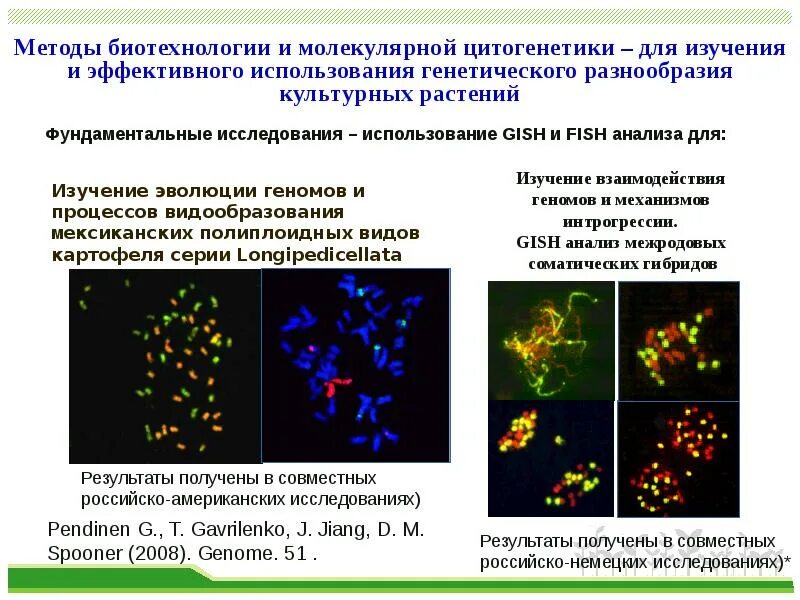 Методы направления биотехнологии. Методы биотехнологии. Биотехнология методы биотехнологии. Методы биотехнологии в биологии. Методы исследования в биотехнологии.