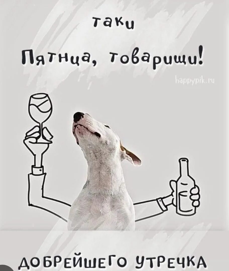 открытки с добрым утром пятницы. прикольные картинки с добрым утром пятницы ржачные. доброе утро пятница прикол. хорошей пятницы. доброе утро пятницы прикольные.