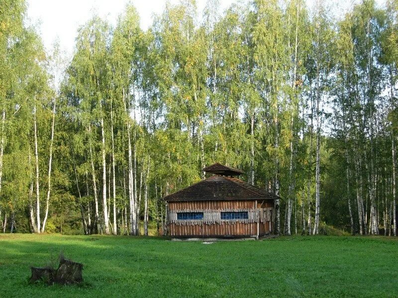 Лунево кострома. Лунево картинка. Лунёво на волге кострома. Дом отдыха лунево костромская. Кострома лунево на волге.