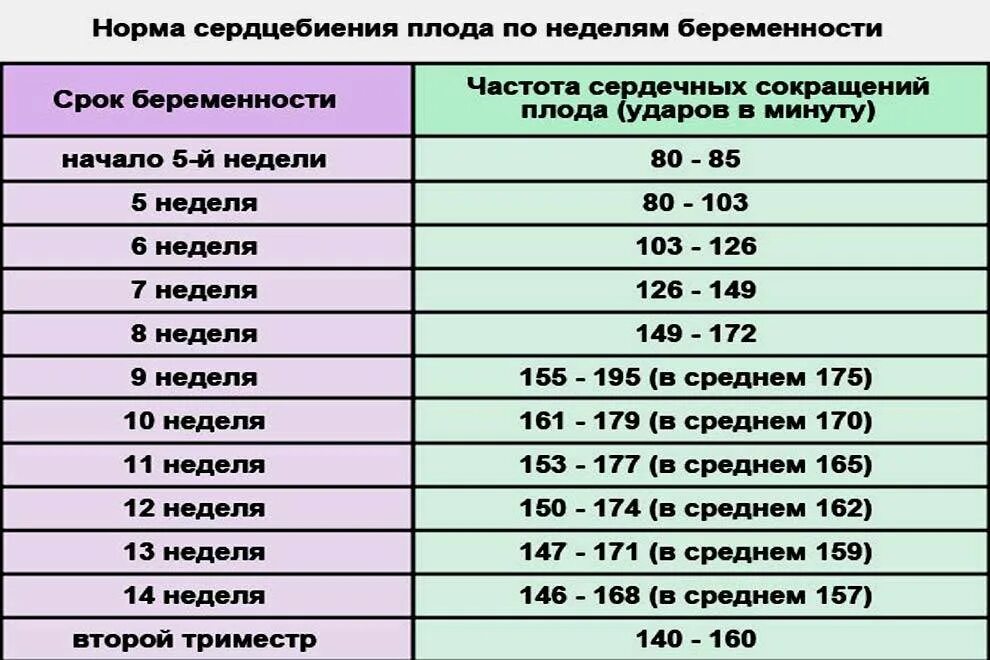 Сердцебиение у плода на какой неделе появляется