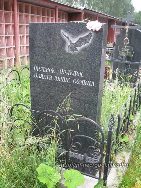 Могилы знаменитостей на новодевичьем кладбище схема