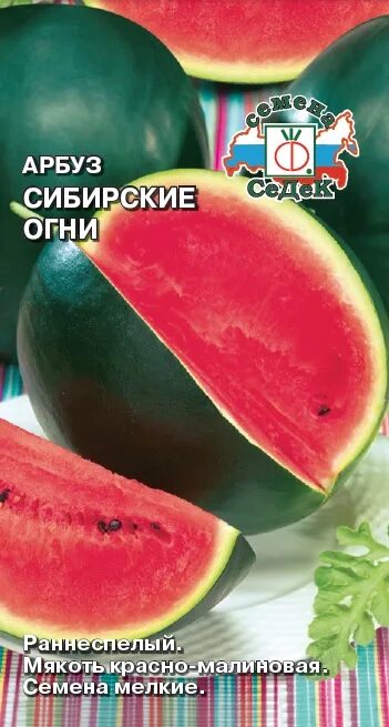 Арбуз сибирские огни поиск. Сорт сибирские огни. Сорт сибирские огни. Семена арбуз сибирские огни семена алтая. Арбуз сорт сибирские огни.